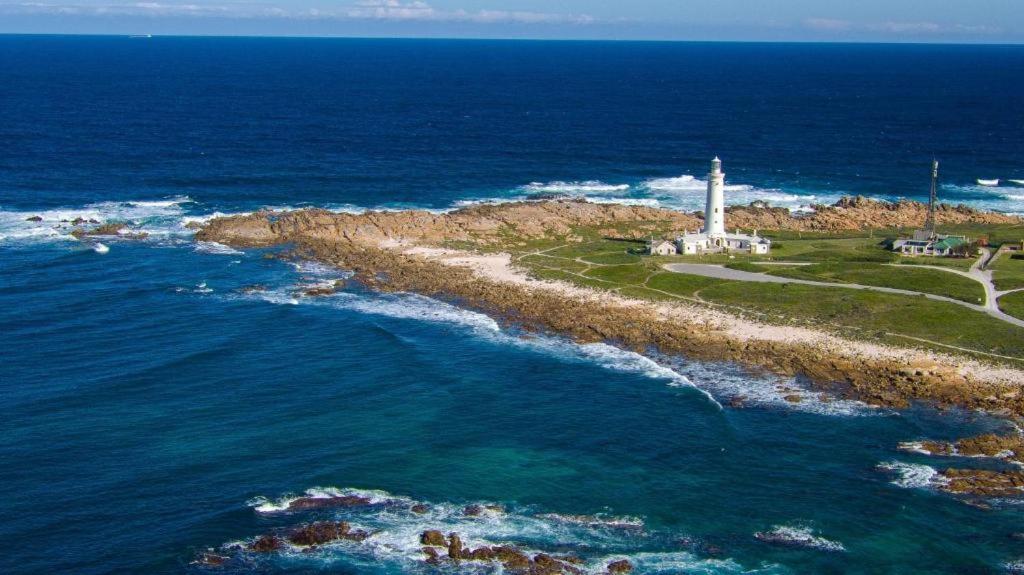 Seal Point Apartments Cape St. Francis Eksteriør bilde